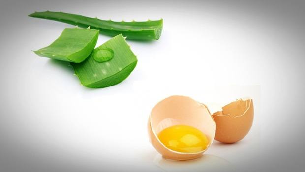 Aloe Vera Gel And Eggs