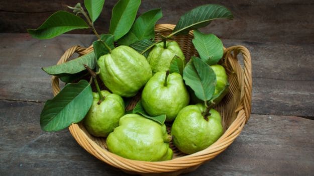 Using Guava Leaves For Hair