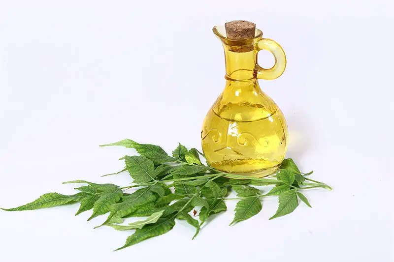 How To Use Neem Oil For Hair Growth