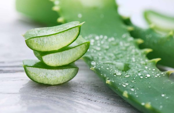 How To Use Aloe Vera For Hair Growth