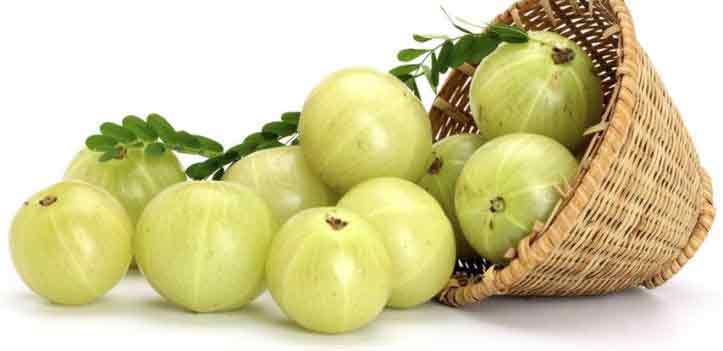 Indian Gooseberry
